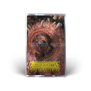TAPE - HYPERDONTIA - Nexus Of Teeth