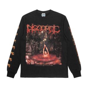 LONGSLEEVE - DISGORGE – Gore Blessed To The Worms