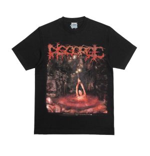 T-SHIRT - DISGORGE – Gore Blessed To The Worms