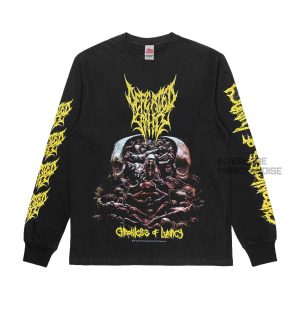 LONGSLEEVE - DEFEATED SANITY - Chronicles of Lunacy