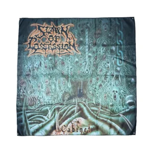FLAG - SPAWN OF POSSESSION - Cabinet