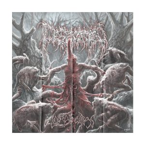 FLAG – DESECATION – Left To The Trogs